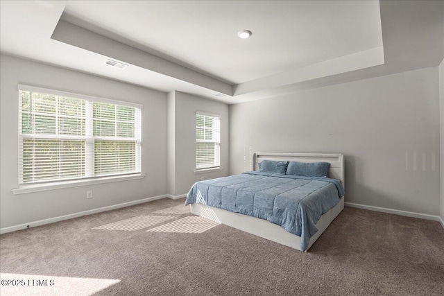 86 Slater St, Bluffton, SC 29909 - carpeted bedroom with a tray ceiling and baseboards