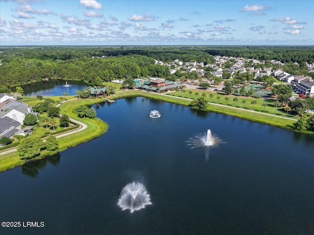 86 Slater St, Bluffton, SC 29909 - bird's eye view of a nearby body of water and a forest