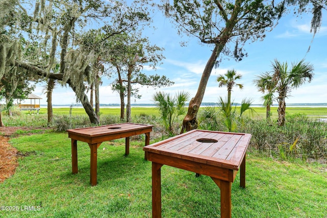 196 White Oaks Cir, Bluffton, SC 29910 - surrounding community with a lawn
