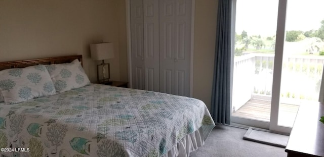 carpeted bedroom with access to exterior and a closet