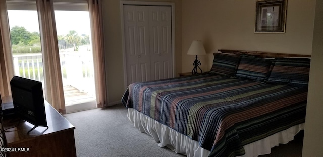 bedroom featuring light carpet, access to outside, and a closet