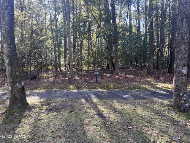 241 Bull Point Dr, Seabrook, SC 29940