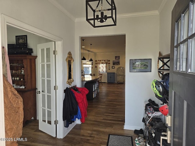 entryway with dark wood-style floors and crown molding