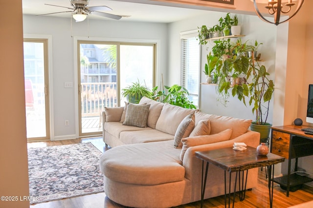 living room with hardwood / wood-style flooring and ceiling fan with notable chandelier