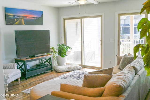 living room featuring hardwood / wood-style floors