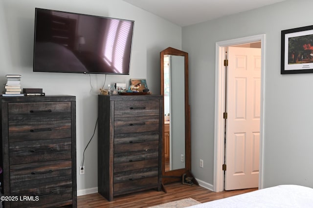 bedroom featuring wood-type flooring