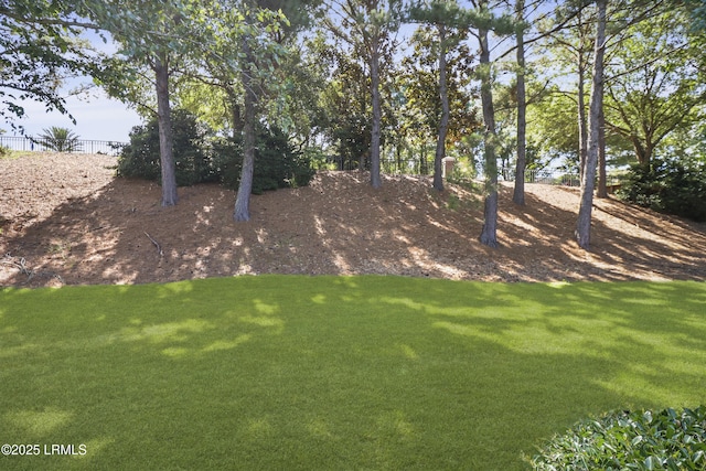 22 Purry Cir, Bluffton, SC 29909 - view of yard