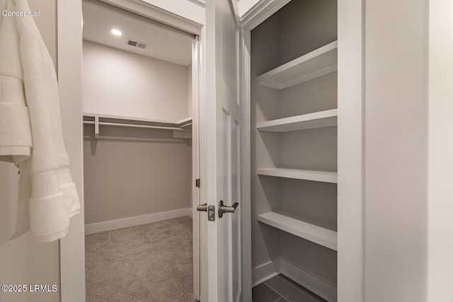 32 Faculty Dr, Beaufort, SC 29907 - spacious closet featuring carpet flooring