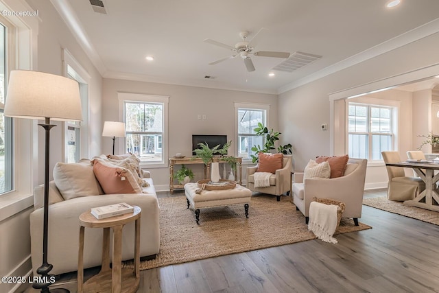 32 Faculty Dr, Beaufort, SC 29907 - living room with hardwood / wood-style floors, crown molding, and a healthy amount of sunlight