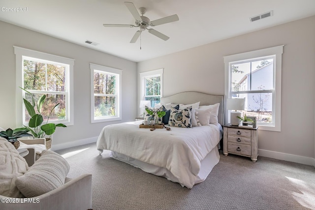 32 Faculty Dr, Beaufort, SC 29907 - carpeted bedroom featuring multiple windows and ceiling fan