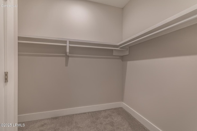 32 Faculty Dr, Beaufort, SC 29907 - walk in closet with carpet