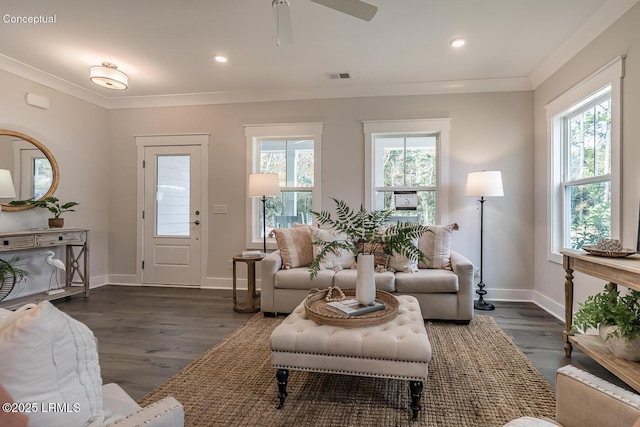 32 Faculty Dr, Beaufort, SC 29907 - living room with ceiling fan, ornamental molding, and dark hardwood / wood-style flooring