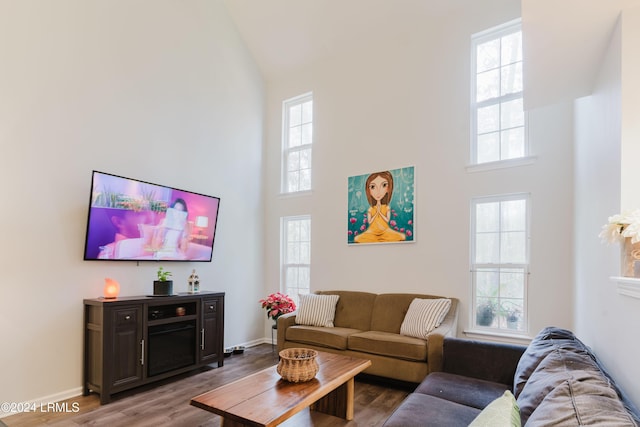 living room with a towering ceiling and wood-type flooring