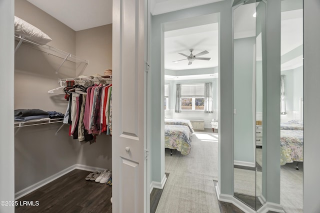 spacious closet with ceiling fan and dark hardwood / wood-style floors