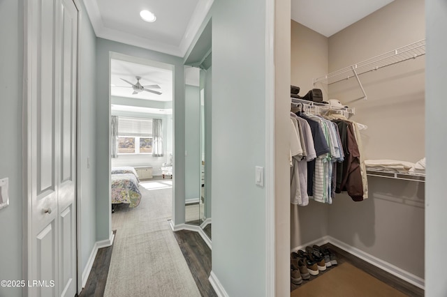 spacious closet featuring dark wood-type flooring and ceiling fan