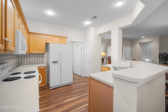 355 Hampton Pl, Bluffton, SC 29909 - kitchen featuring white appliances, a sink, dark wood-type flooring, light countertops, and light brown cabinets