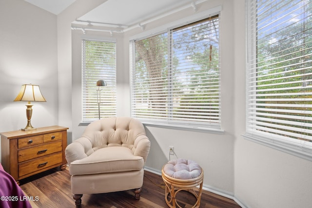 355 Hampton Pl, Bluffton, SC 29909 - living area with wood finished floors, healthy amount of natural light, and baseboards