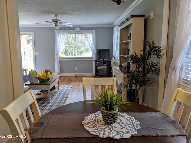 interior space featuring visible vents, light wood-style flooring, baseboards, and ornamental molding