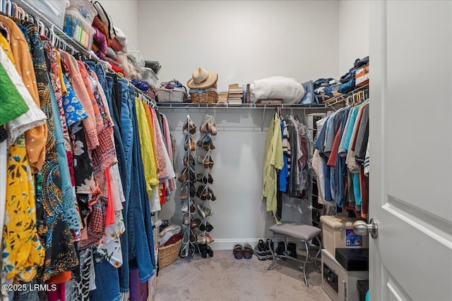 spacious closet with carpet floors