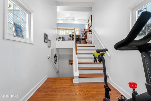 stairway featuring ceiling fan, baseboards, and wood finished floors