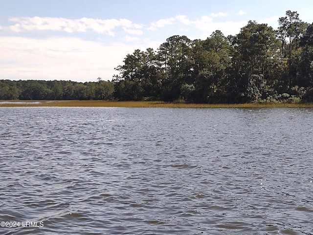 Listing photo 3 for Tbd Goat Island, Lady'S Island SC 29907