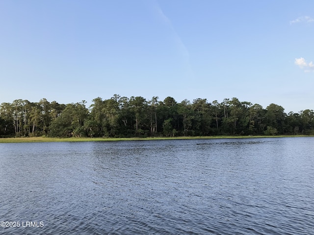 Tbd Goat Island, Lady'S Island, SC 29907 - photo 3