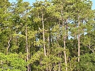 Tbd Goat Island, Lady'S Island, SC 29907 - photo 6