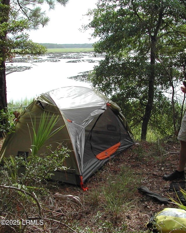 Tbd Goat Island, Lady'S Island, SC 29907 - photo 12