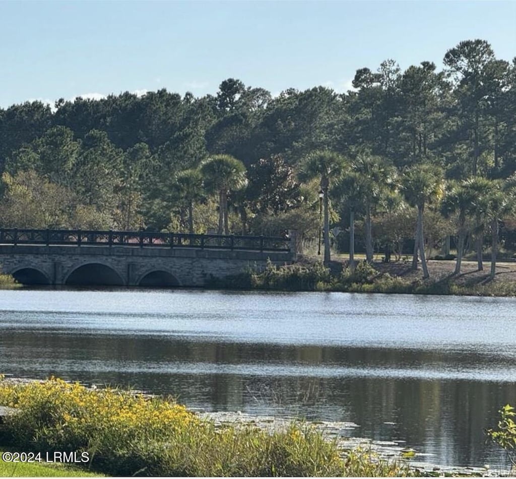61 River Oak Way, Hardeeville, SC 29927 - photo 1