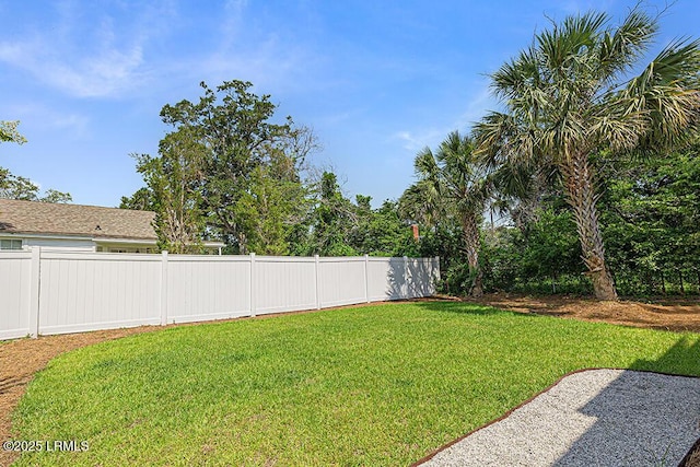 420 Waight St, Beaufort, SC 29902 - view of yard