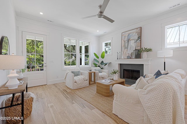 420 Waight St, Beaufort, SC 29902 - living area with a fireplace, ceiling fan, wood finished floors, and recessed lighting