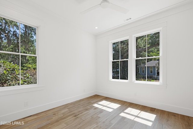 420 Waight St, Beaufort, SC 29902 - empty room featuring light wood-style flooring and a ceiling fan
