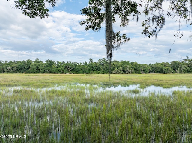 81 Bermuda Downs, Saint Helena Island, SC 29920 - photo 99