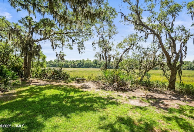81 Bermuda Downs, Saint Helena Island, SC 29920 - photo 82