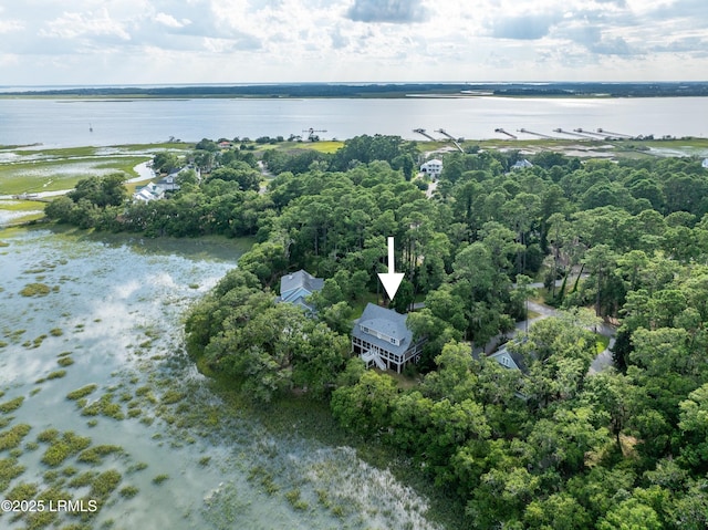 81 Bermuda Downs, Saint Helena Island, SC 29920 - photo 98