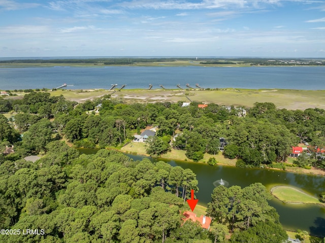 52 Bermuda Downs, Saint Helena Island, SC 29920 - photo 61