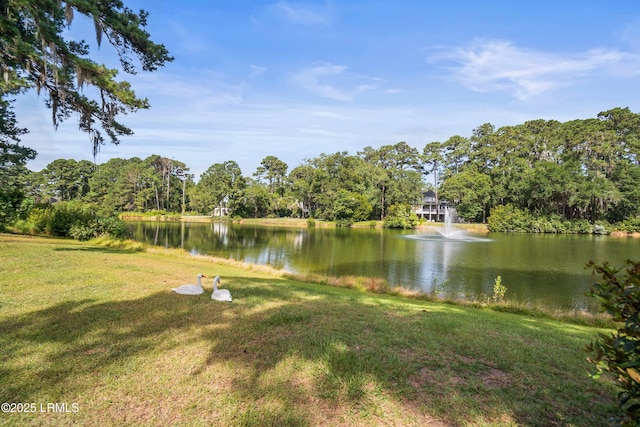 52 Bermuda Downs, Saint Helena Island, SC 29920 - photo 54