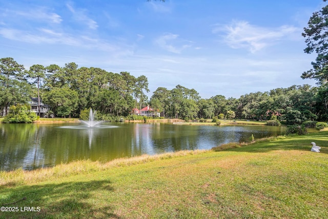 52 Bermuda Downs, Saint Helena Island, SC 29920 - photo 55