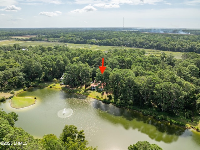 52 Bermuda Downs, Saint Helena Island, SC 29920 - photo 56