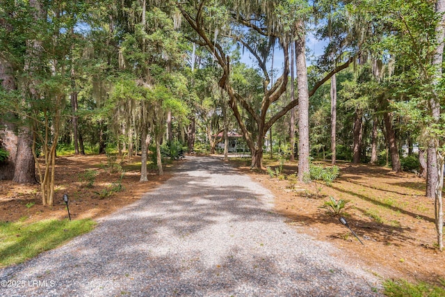 52 Bermuda Downs, Saint Helena Island, SC 29920 - photo 12