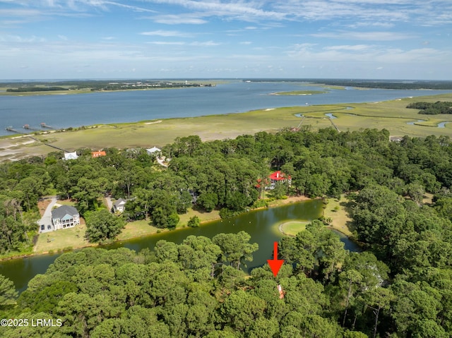 52 Bermuda Downs, Saint Helena Island, SC 29920 - photo 60