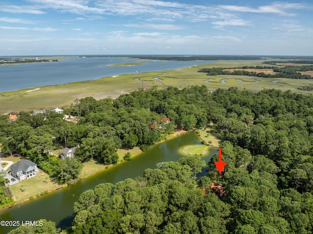 52 Bermuda Downs, Saint Helena Island, SC 29920 - photo 59