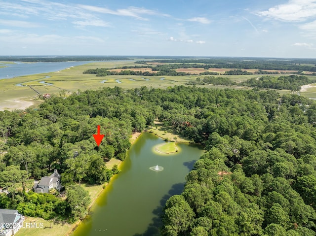 52 Bermuda Downs, Saint Helena Island, SC 29920 - photo 58
