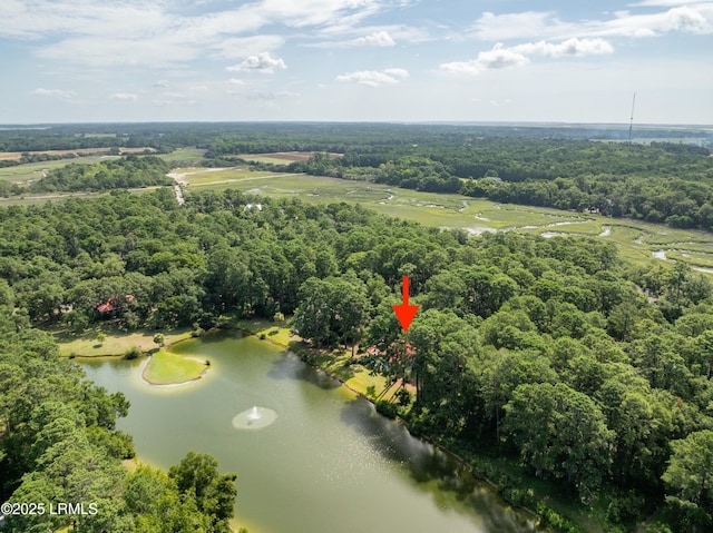 52 Bermuda Downs, Saint Helena Island, SC 29920 - photo 57