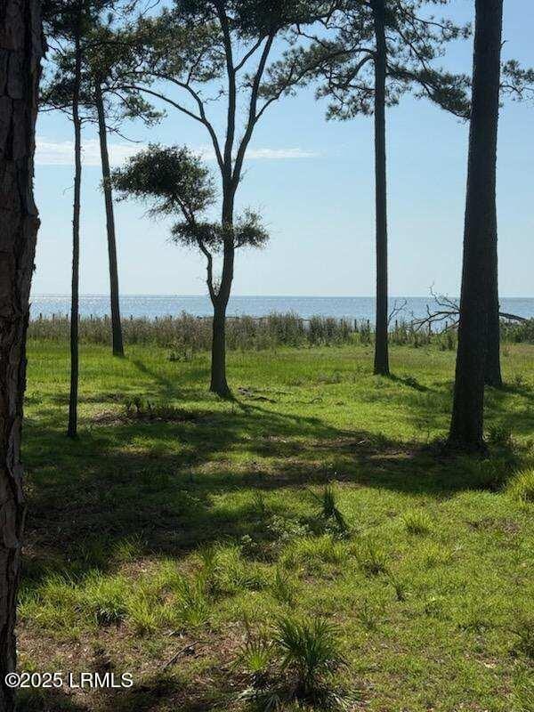86 Martinangel Ln, Daufuskie Island, SC 29915 - photo 2