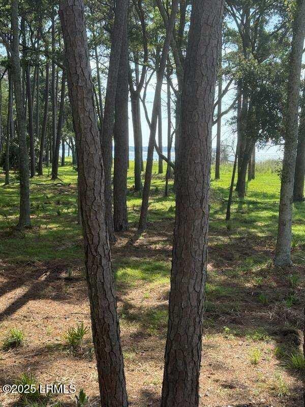 86 Martinangel Ln, Daufuskie Island, SC 29915 - photo 4