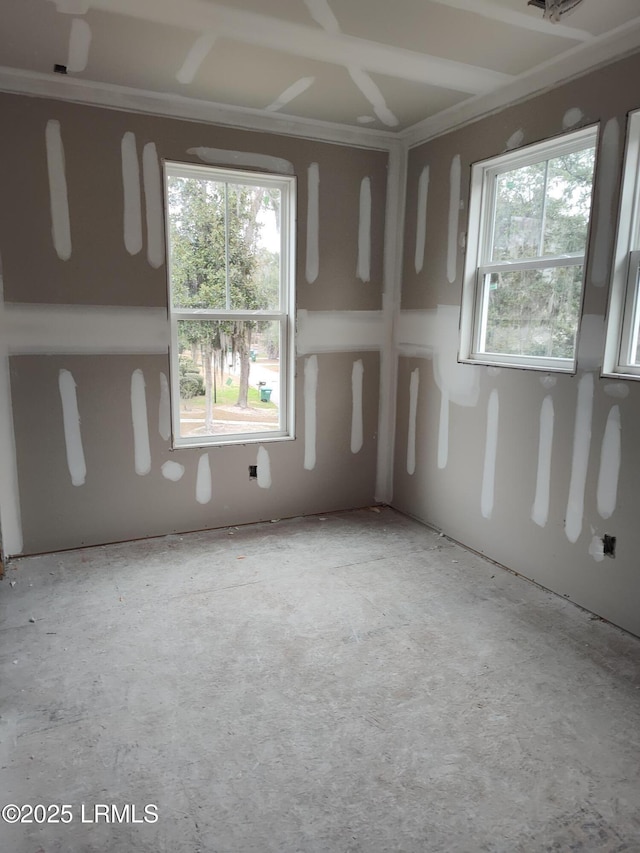 spare room featuring a wealth of natural light