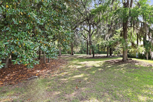 66 Pinckney Blvd, Beaufort, SC 29902