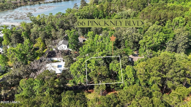 66 Pinckney Blvd, Beaufort, SC 29902