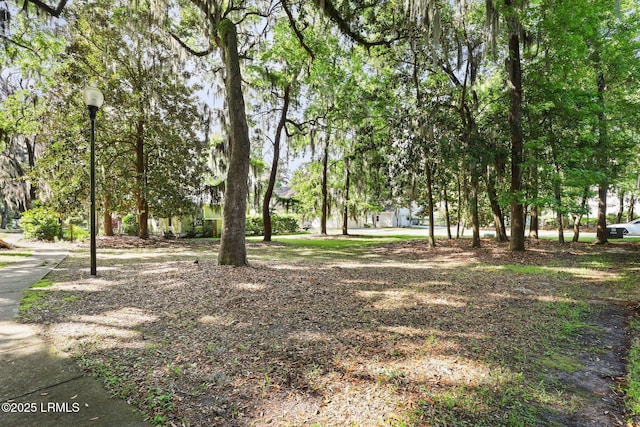 66 Pinckney Blvd, Beaufort, SC 29902